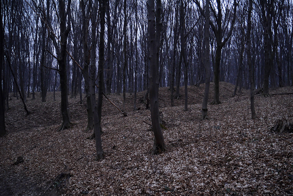 Скіфське городище у Сабарівському лісі